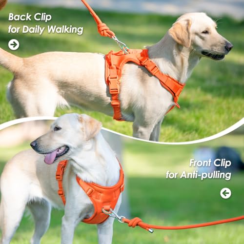 No Pull Dog Harness for Small Sized Dogs (Orange / XS(Neck:11.8-16.5", Chest:14.2-19.7"))