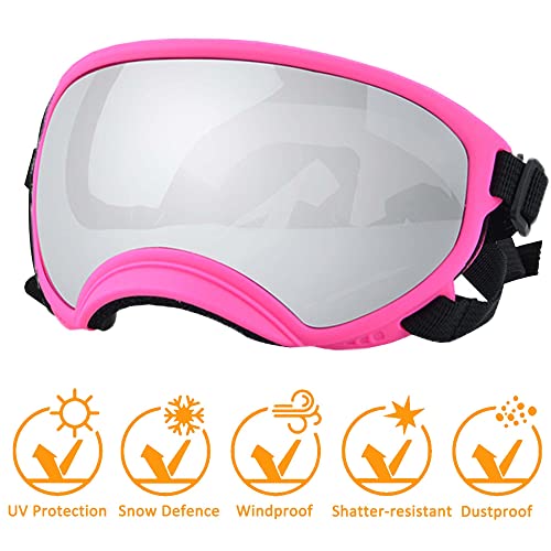 Large Dog Sunglasses