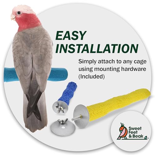 Comfort Grip Safety Bird Perch (Blue / X-Large 13.5")