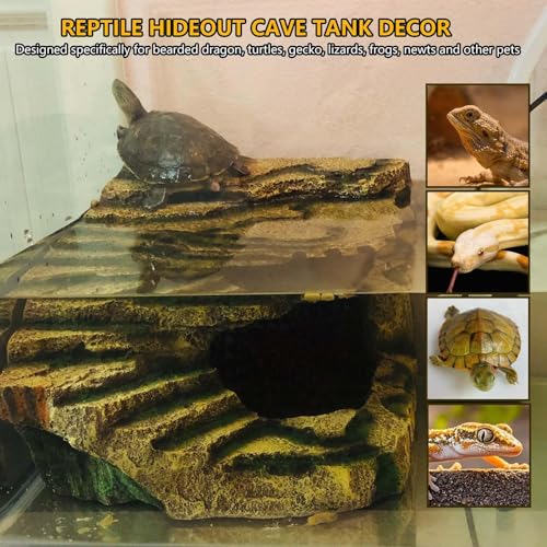 Large Turtles Basking Platform