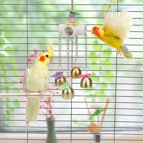 Bird Parrot Bells Toy with Sweet Sound for Parakeet Cockatiel (B (Bird Bell Toy))
