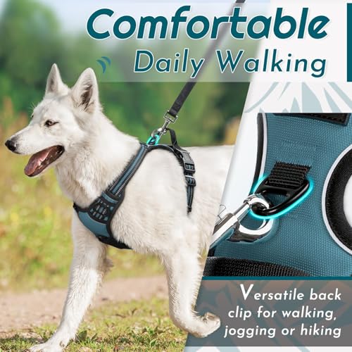 Dog Harness for Medium Sized Dogs (Medium / Dark Green)