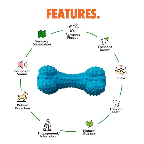Arlee Rubber Bone Dog Toy for All Dogs
