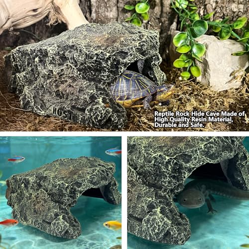 Reptile Hideout Rock
