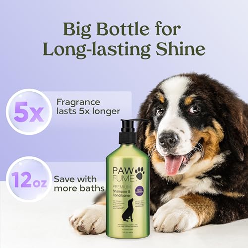 PAWFUME Dog Shedding Shampoo and Conditioner (Shampoo & Conditioner Royal Lavander / Pack of 2)