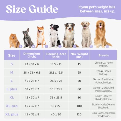 Cute Cozy High Back Orthopedic XL Dog Bed with Sides (42.0"l X 30.0"w X 7.0"th / Beige)