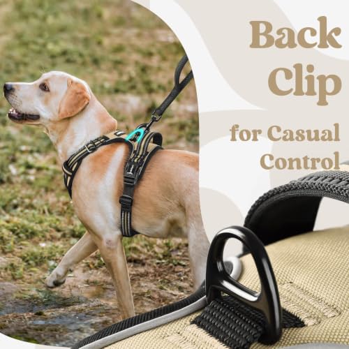 Dog Harness for Large (X-large / Beige)