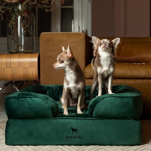 Dog Bed Orthopedic Memory Cooling Foam (Dark Green - VE / Medium)