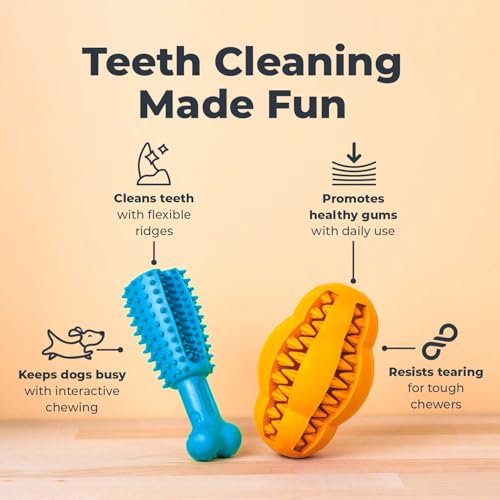 Premium Dog Dental Chew Toy (Large)