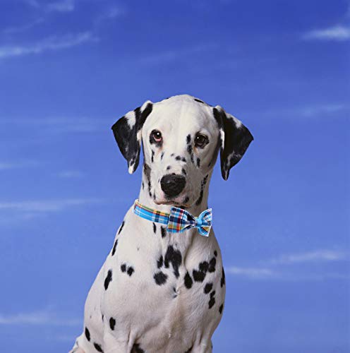 Plaid Dog Collar with Bow Pet Gift Adjustable Soft and Comfy Bowtie Collars for Small Medium Large Dogs (X-Large / blue plaid)