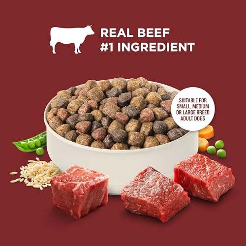 Dry Dog Food Beef (5 Pound (Pack of 1))