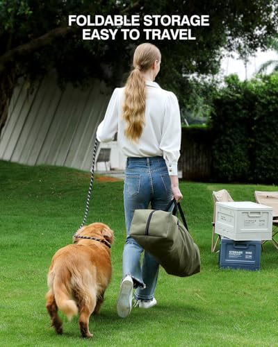 24 x 17 x 17 Inch Collapsible Soft Dog Crate for Dogs Up to 30 lbs (24.0"L x 17.0"W x 17.0"H / Green)