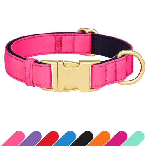 Soft Padded Dog Collar for Medium Dogs (Neon Pink / M：Fit 14-18" Neck, Width ¾")