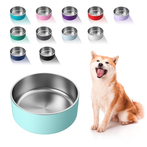 Dog Bowl Stainless Steel Food and Water Bowl (40 oz / Mint Green)