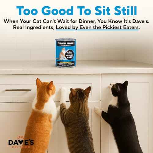 Grain Free Wet Cat Food (13 Ounce (Pack of 12))