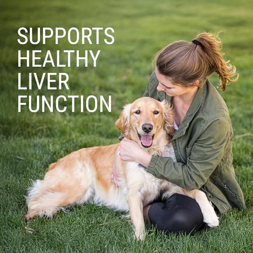 Nutramax Denosyl Liver & Brain Supplement for Large Dogs (Large Dog (Over 35 lbs))
