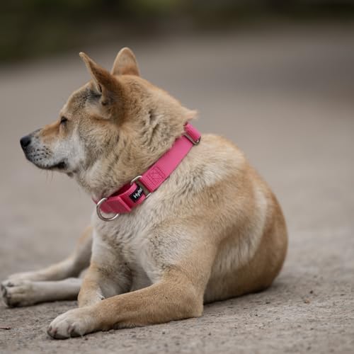 Martingale Dog Collars for Medium Dogs (Medium / Candy Pink)