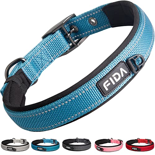 Padded Dog Collar for Small Dogs with Metal Belt Buckle (Small(11”-14.5“) / Blue)