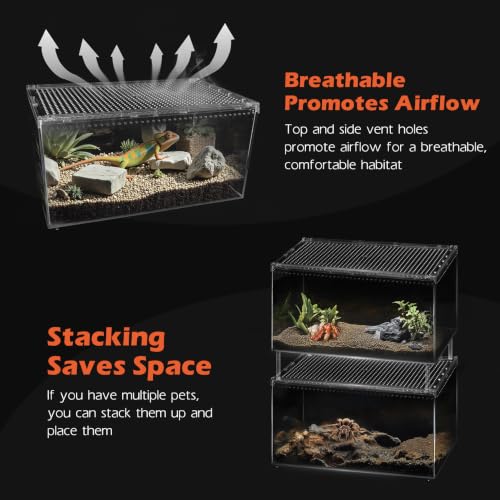 Escape Proof Tarantula Enclosure (Small(7.87*5.90*3.93inch))