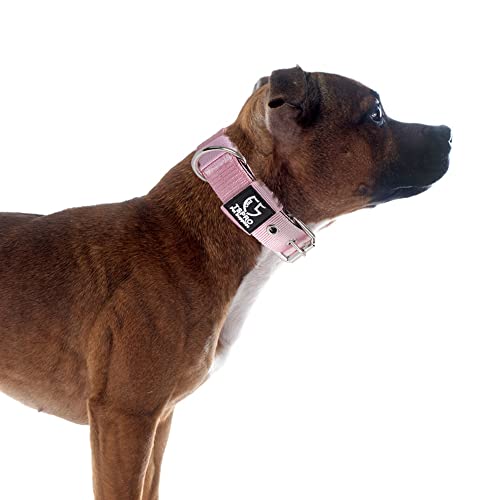 Heavy Duty Thick Dog Collar with Metal Buckle for Small Dogs (S – Fits Neck 12.6"-15.8" / Basic Pink)