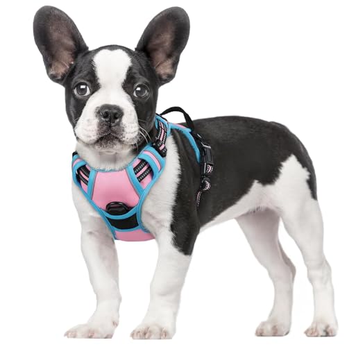Dog Harness No Pull for Small Dogs with 2 Leash Clips (Small / Pink & Blue)