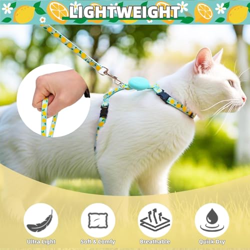 Adjustable Cat Harness and Leash Set Escape Proof Kitten Strap Collar for Walking Travel (Medium / Light Blue(Lemon))