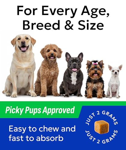 Dog Probiotics 120 Chews for Digestive Health w (Probiotic Chews / 120Ct)