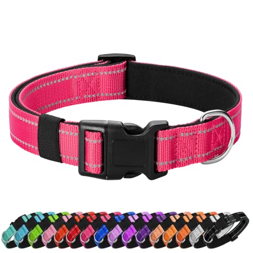 Reflective Dog Collar (Hop Pink / L:width 1"neck 17.5-27")