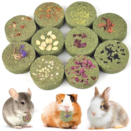 Treats Rabbit Toys (10 Count (Pack of 1))