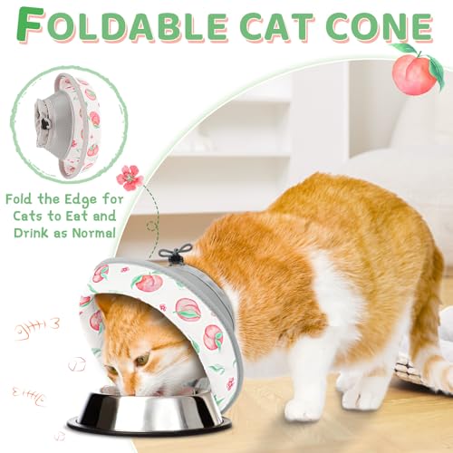 Cat Cone Collar Soft to Stop Licking (PinkWhite / M)