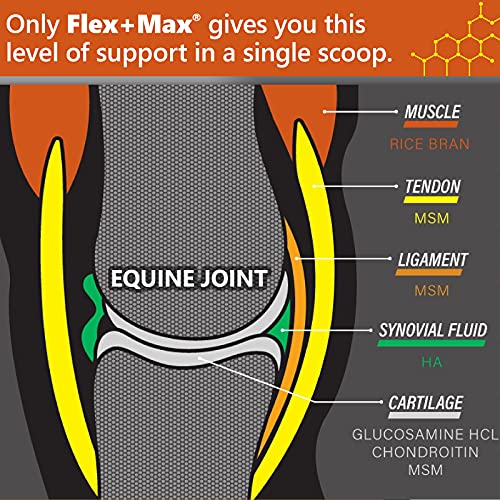 Flex+Max Equine Joint Supplement Pellets (10lb)