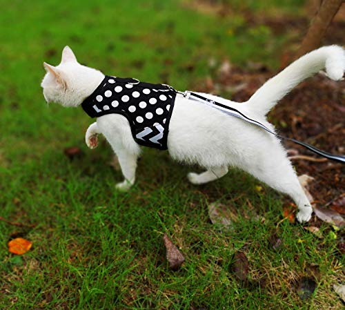 Cat Harness and Leash Set Escape Proof (Black Polka Dots / S 4-6 lbs)