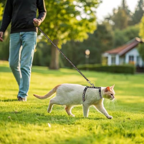 Cat Harness with Leash and Collar Set (Small / Black)