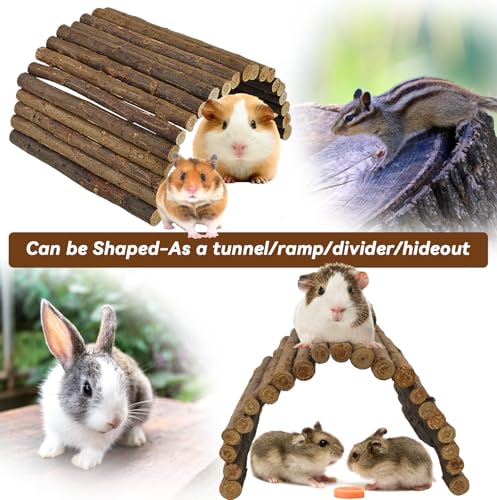 Wooden Hamster Bridge (M (15.7 x 6.0 inches))