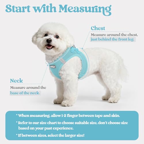 Dog Harness Small Sized and Leash Set (Mint Blue / Xxxs (chest: 10.8 - 11.8"))