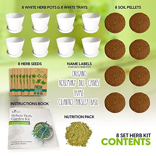 Herb Garden Starter Kit (8 Herb)