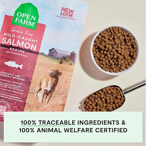 Grain Free Dry Dog Food (11 Pound (Pack of 1))