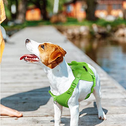 Dog Backpack Harness (Green Frog / Medium)