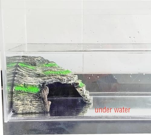 Reptile Hide Cave
