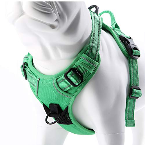 Truelove No Pull Dog Harness with Easy Control Handle and 2 Leash Attachments (X-Large / Grass Green)
