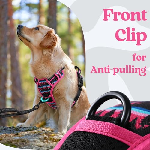 Dog Harness Small Sized (Mountain Rose / Small)