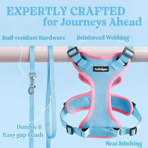 Cat Harness and Leash Set (Xs / Light Blue & Pink)
