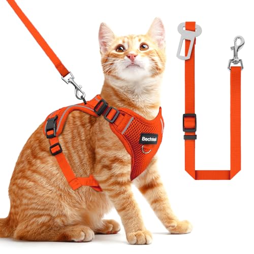 Cat Harness and Leash for Walking (Orange / Small (7-12lb))