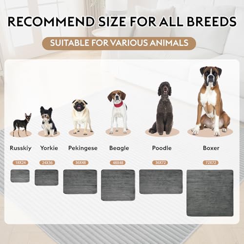 Flannel Washable Pee Pad for Dogs (Dark Grey / 36" X 72"-2PC)