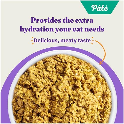 Pate Wet Cat Food