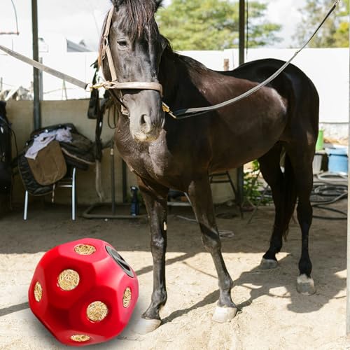 Hay Feeder Horse Treat Ball (Red)