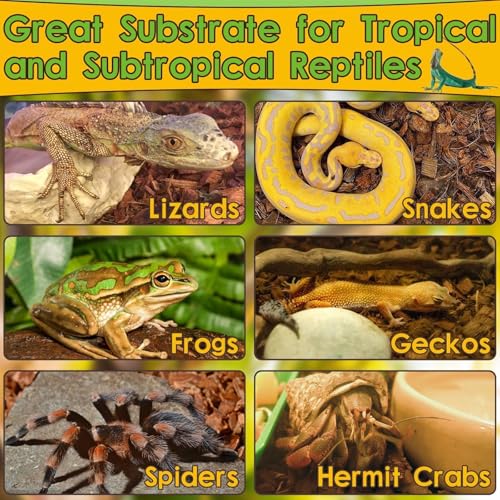 2 Pack Coconut Husk for Reptiles (2 Pack)