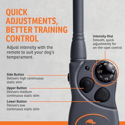FieldTrainer 425X Remote Trainer (Gun Metal Grey / 1 Dog)