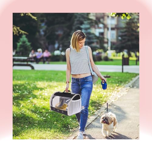 Bearded Dragon Travel Carrier Backpack (Black)