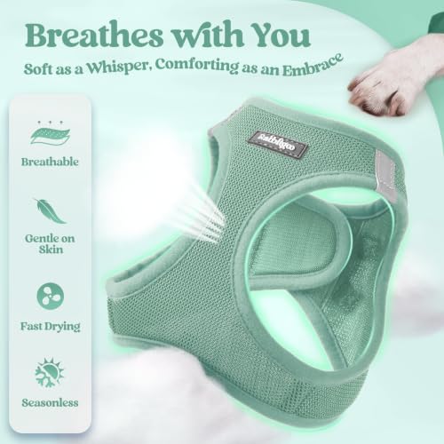 Dog Harness Medium Sized and Leash Set (Moss Green / M (chest: 16 - 18.5"))